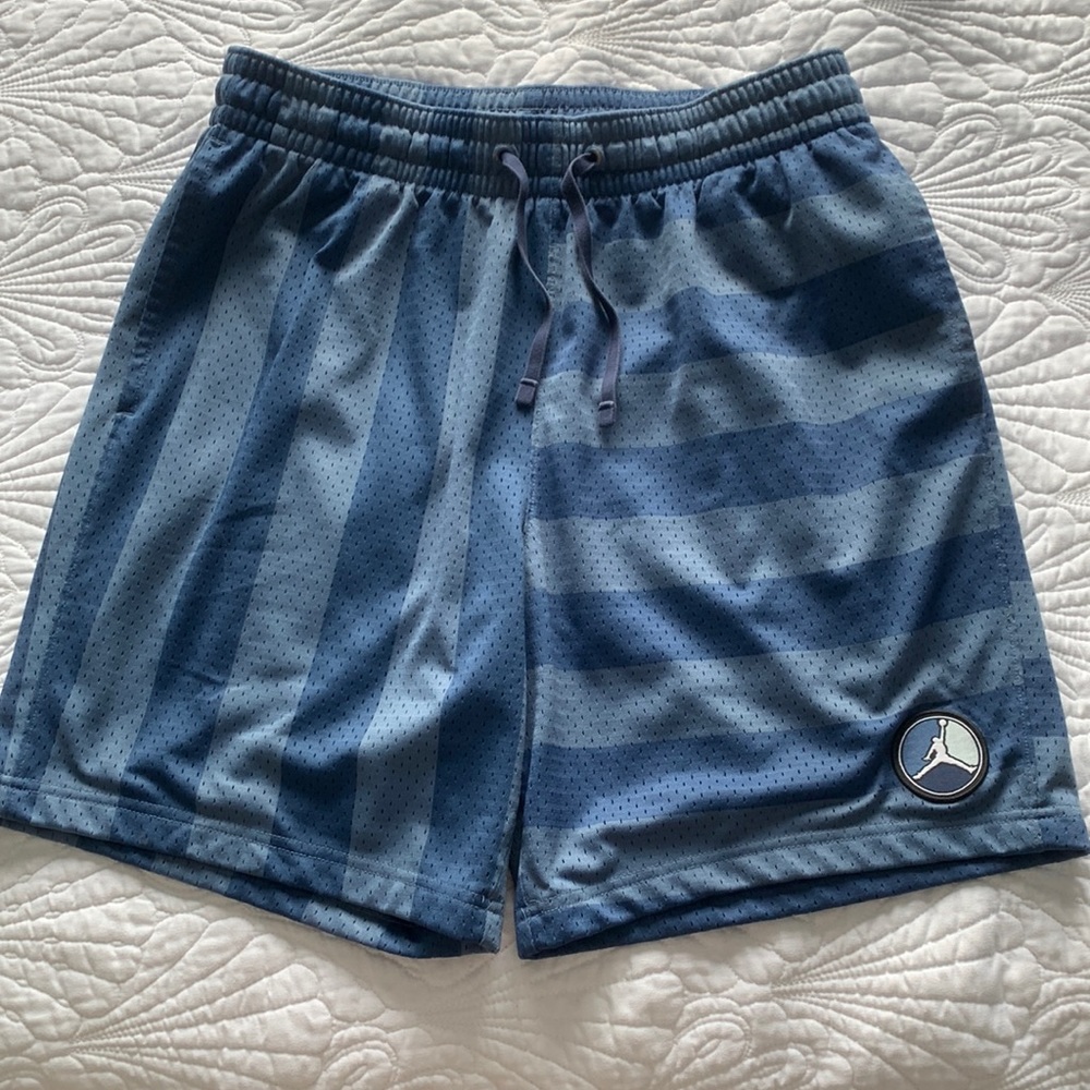 Nike Air Jordan Mesh Shorts